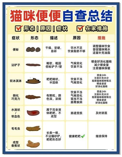 龍貓便秘了怎么辦？：龍貓便秘怎么辦