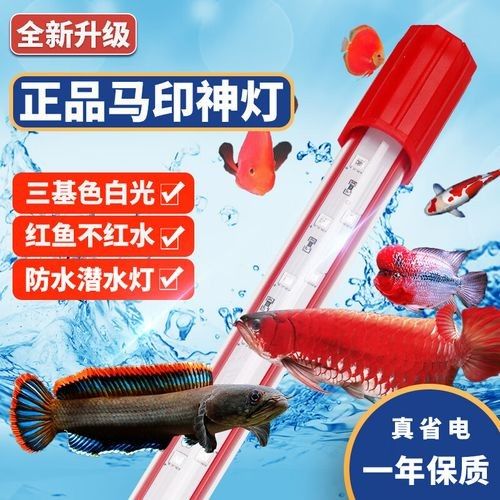 哪個品牌的魚缸燈性價比最高：吉印刀鋒s魚缸燈led燈防水全光譜魚缸照明燈