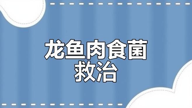 金龍魚有哪些常見疾病：金龍魚凸眼、腹水與炸鱗的預(yù)防