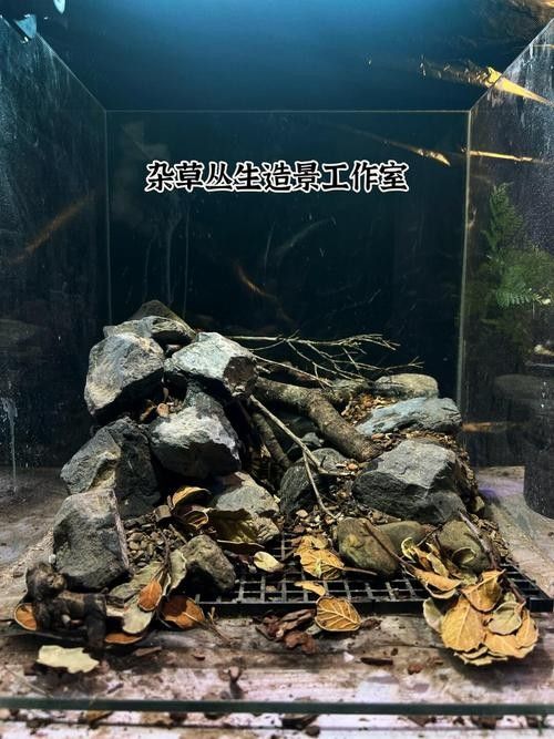 雷龍魚(yú)缸底砂清洗方法：雷龍魚(yú)缸底砂清洗技巧大揭秘,如何避免使用洗沙器