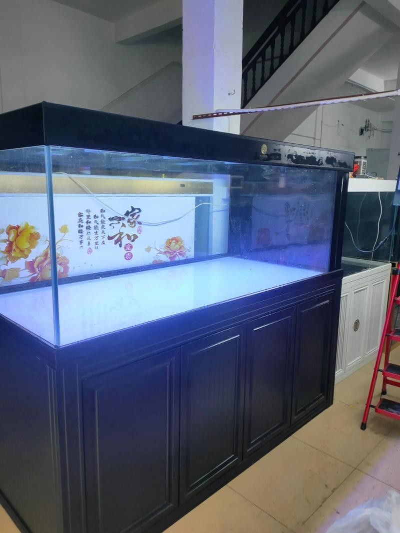 彩蝶1.2米魚缸的詳細配置：彩蝶1.2米小魚缸:優(yōu)缺點全解析