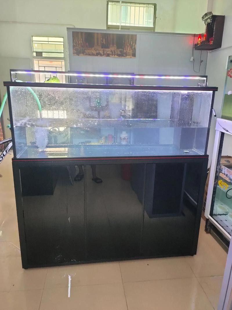 彩蝶1.2米魚缸的詳細配置：彩蝶1.2米小魚缸:優(yōu)缺點全解析