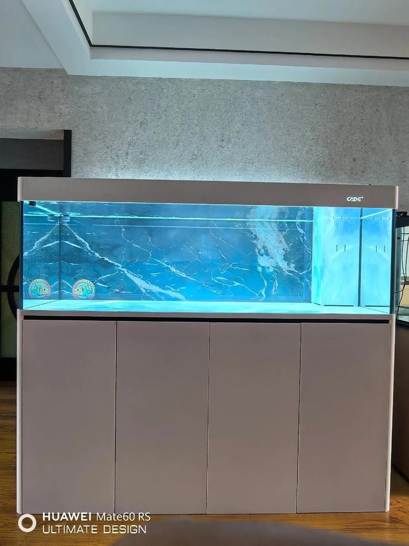 彩蝶1.2米魚缸的詳細配置：彩蝶1.2米小魚缸:優(yōu)缺點全解析