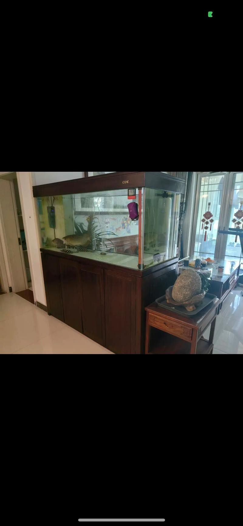 彩蝶1.2米魚缸的詳細配置：彩蝶1.2米小魚缸:優(yōu)缺點全解析