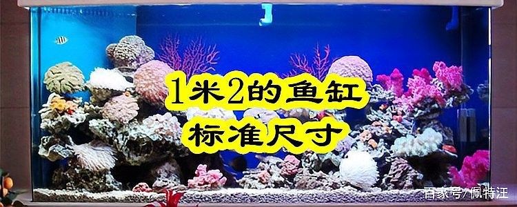 彩蝶1.2米魚缸的詳細配置：彩蝶1.2米小魚缸:優(yōu)缺點全解析