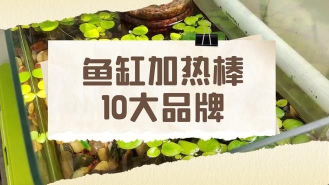 加熱棒價(jià)格范圍：加熱棒多少錢一根