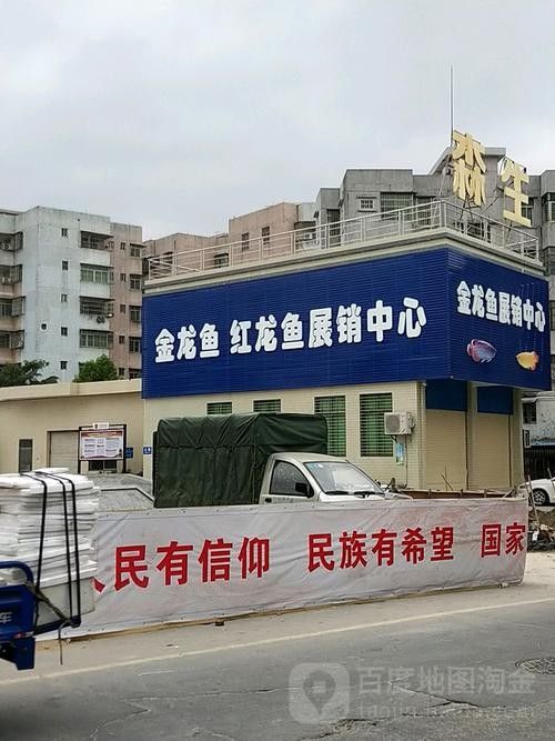 金龍魚分支機(jī)構(gòu)分布圖：全面解析金龍魚的生產(chǎn)布局生活全知道