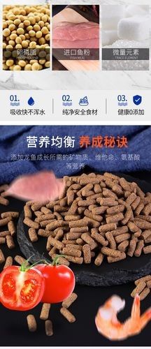 金龍魚分支機(jī)構(gòu)分布圖：全面解析金龍魚的生產(chǎn)布局生活全知道