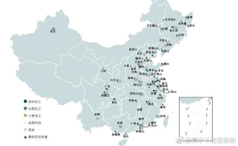 金龍魚分支機(jī)構(gòu)分布圖：全面解析金龍魚的生產(chǎn)布局生活全知道