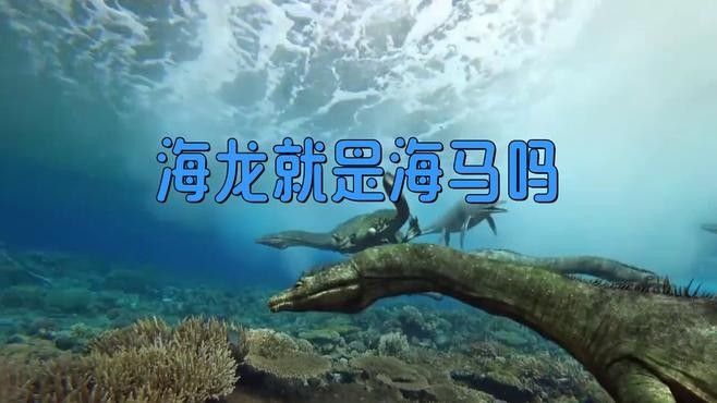 如何區分海龍和海馬？：小宋談科普，海龍與海馬的區別