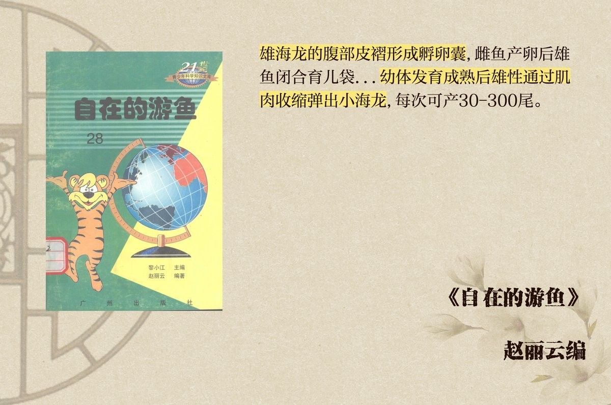 如何區分海龍和海馬？：小宋談科普，海龍與海馬的區別