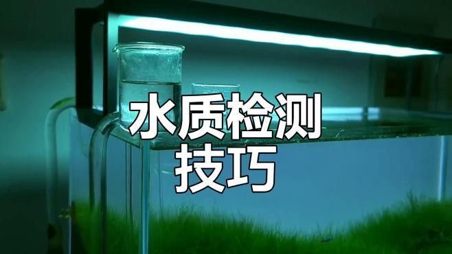 如何測試水質(zhì)參數(shù)：水質(zhì)參數(shù)測試方法