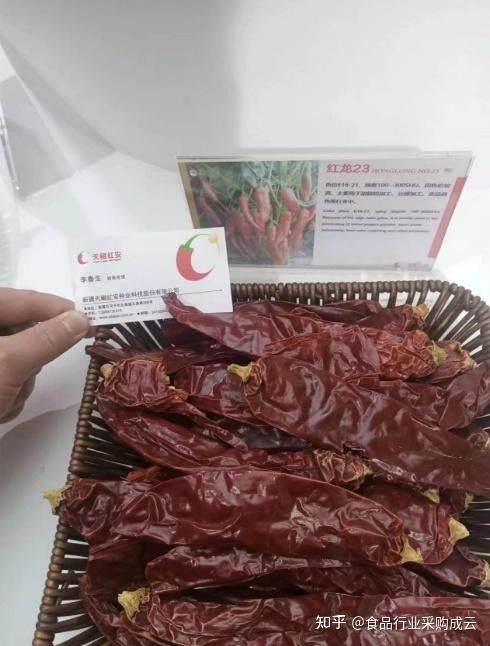 綠皮辣椒紅龍有哪些產地：綠皮辣椒紅龍的主要產地及種植特點