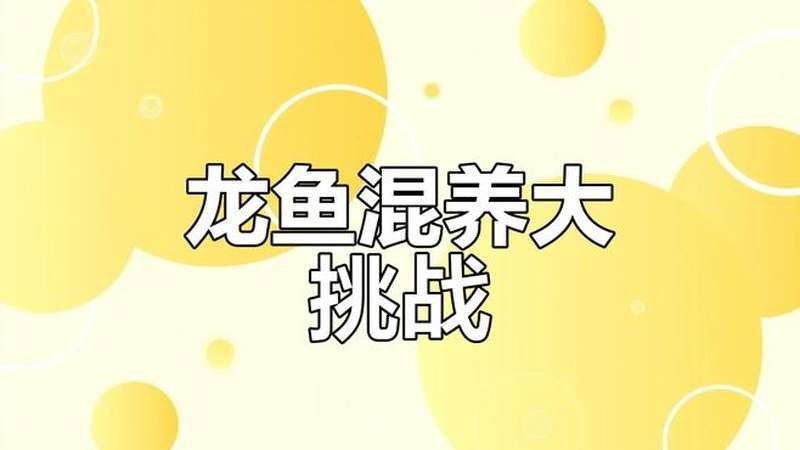 混養眼鏡蛇雷龍和金龍魚有哪些成功案例：關于黃金眼鏡蛇雷龍與金龍魚的混養案例