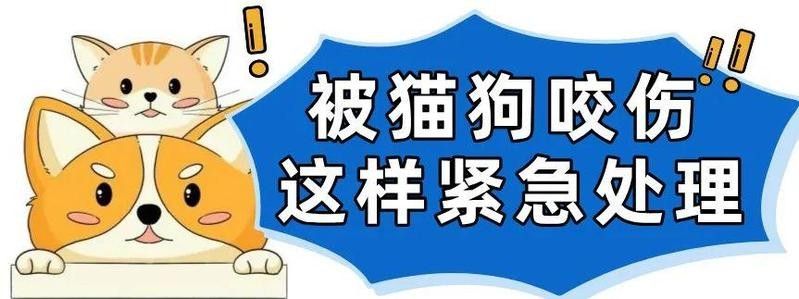 六角恐龍魚咬傷需要包扎嗎？：六角恐龍魚咬傷后需要包扎嗎