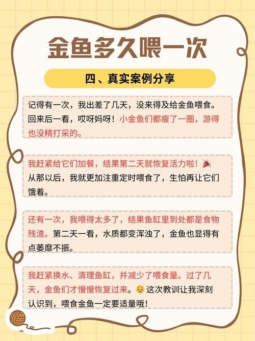 冠軍金龍魚多久喂一次合適：冠軍金龍魚的喂食頻率需根據(jù)其生長(zhǎng)階段調(diào)整