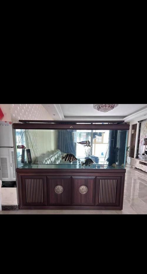民樂哪個水族館龍魚好？祥龍魚場龍魚：北京市朝陽區(qū)大羊坊路民樂建材市場周邊多個水族相關(guān)場所