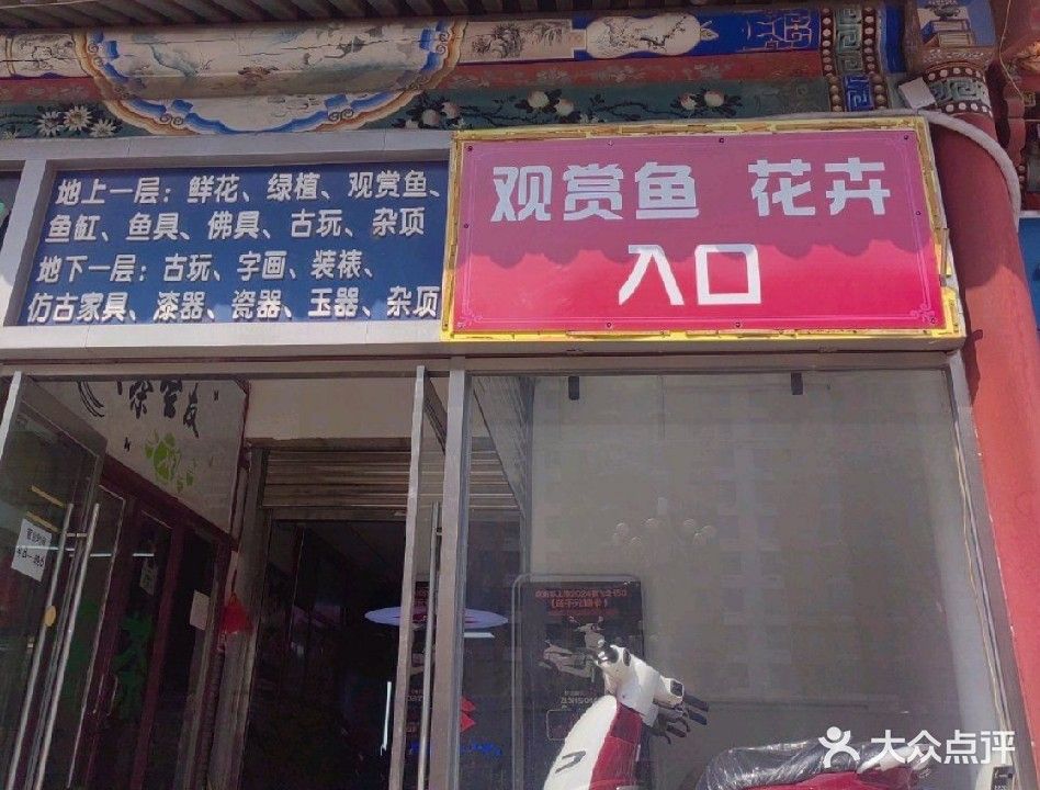 民樂哪個水族館龍魚好？祥龍魚場龍魚：北京市朝陽區(qū)大羊坊路民樂建材市場周邊多個水族相關(guān)場所