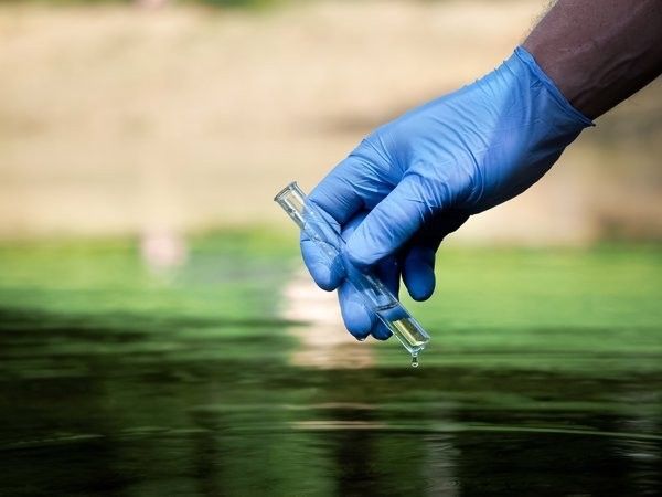 如何預防龍魚眼白點病的發生：龍魚白點病的預防措施