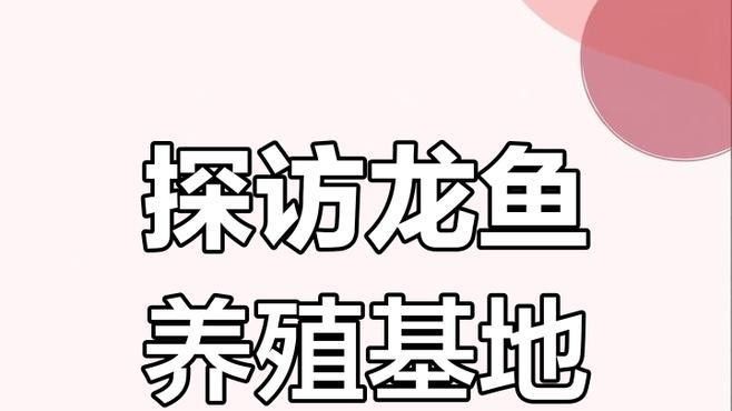 青田哪個水族館龍魚好？祥龍魚場龍魚：青田地區以祥龍魚場為代表的龍魚養殖和水族展示專業性