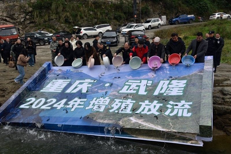 武隆哪個水族館龍魚好？祥龍魚場龍魚：廣州龍魚祥龍魚場養殖方法和注意事項和注意事項