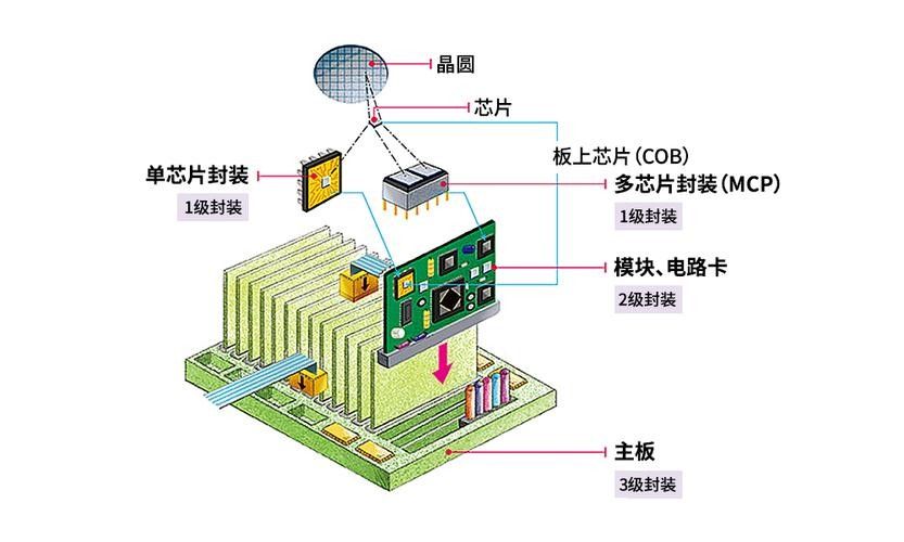 如何查詢金龍魚芯片信息：fdx-b芯片掃描儀查詢