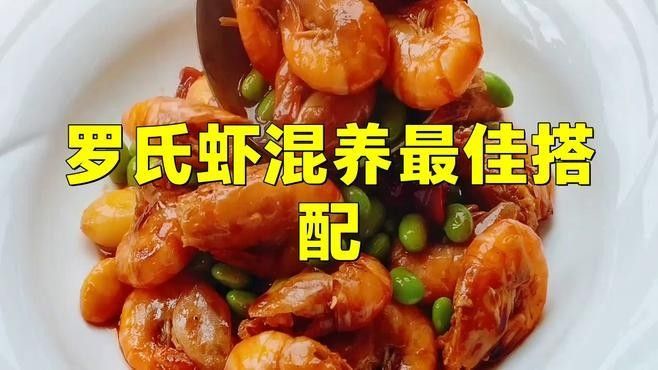 混養初期需要特別注意什么？