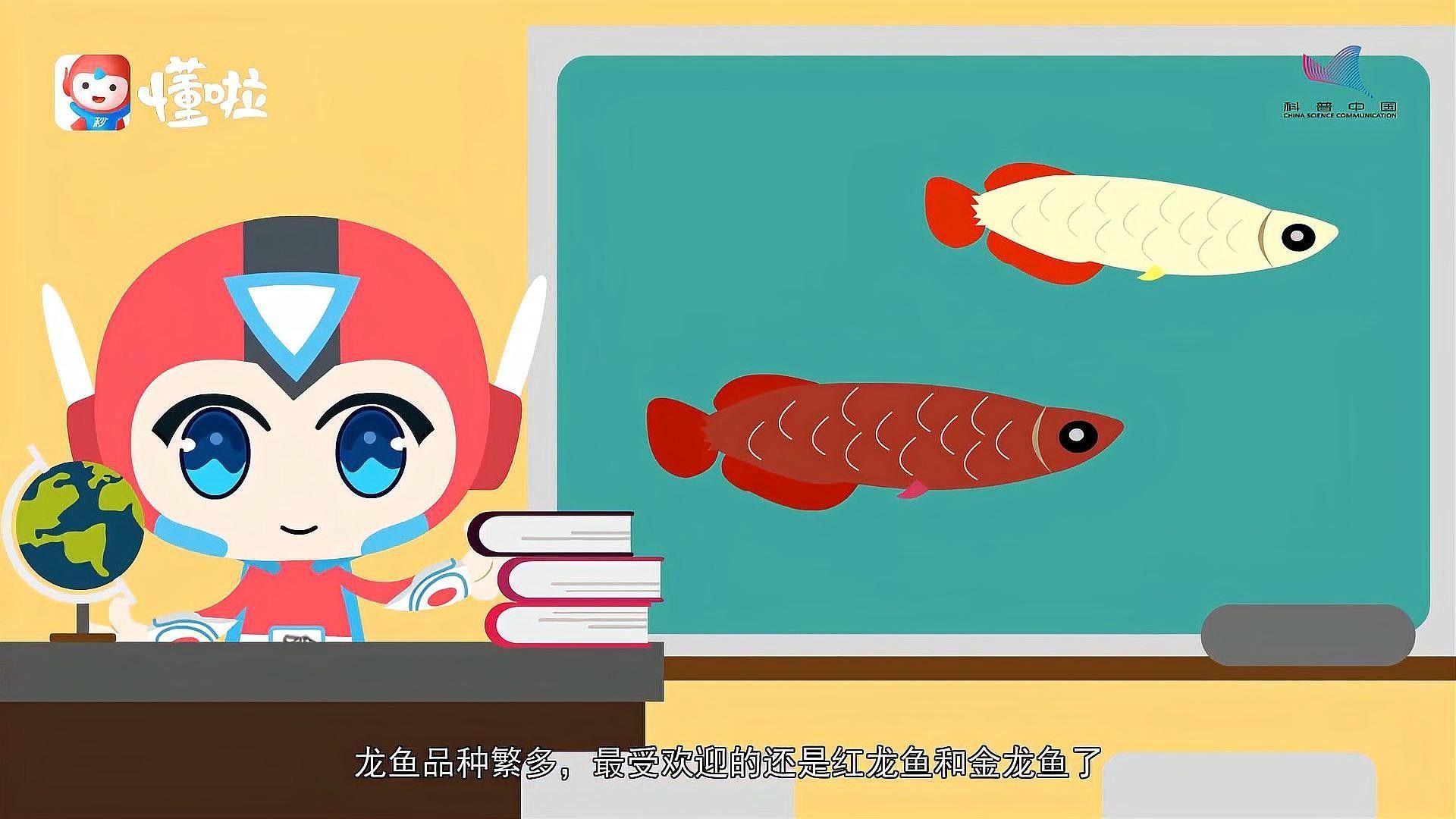 紅龍魚和金龍魚哪個更好養：紅龍魚和金龍魚的區別