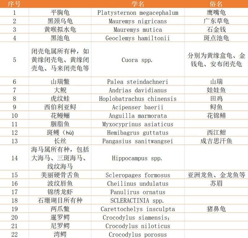 如何申請龍魚證書：水生野生保護動物辦理標識相關問題解答