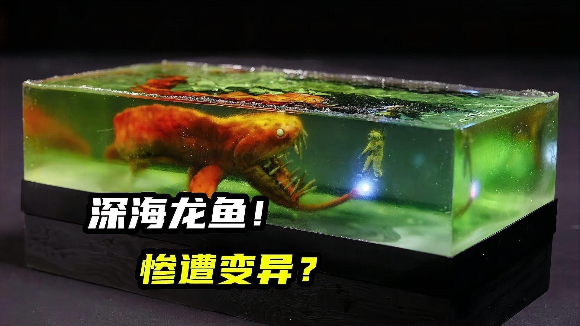 深海龍魚有哪些亞種：深海龍魚是什么？
