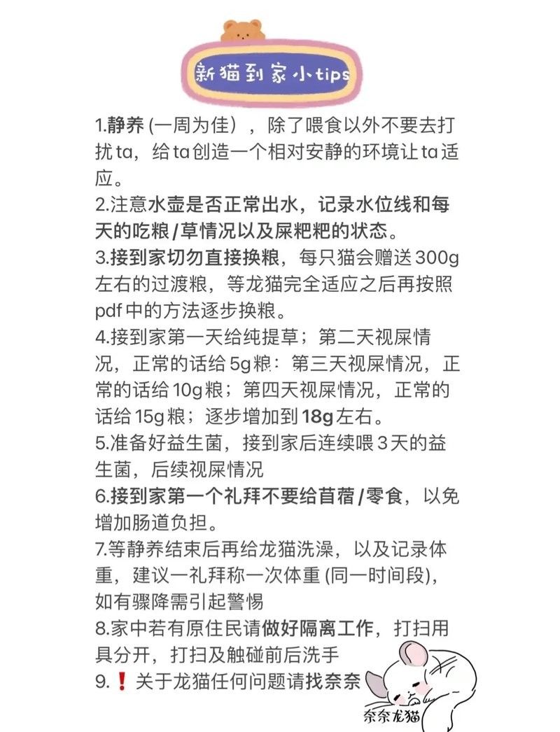 龍貓換糧需要多久完成？：龍貓換糧通常需要7-14天完成