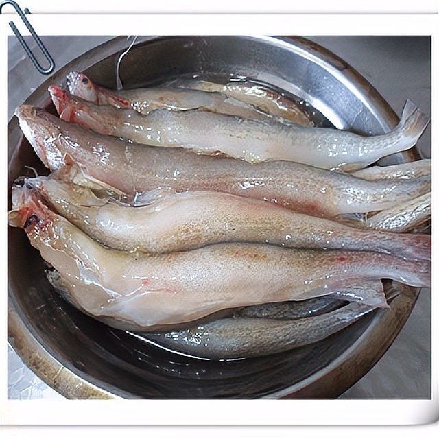 如何制作椒鹽水龍魚？：網浪少女醬椒鹽龍頭魚的做法外酥里嫩簡單易學