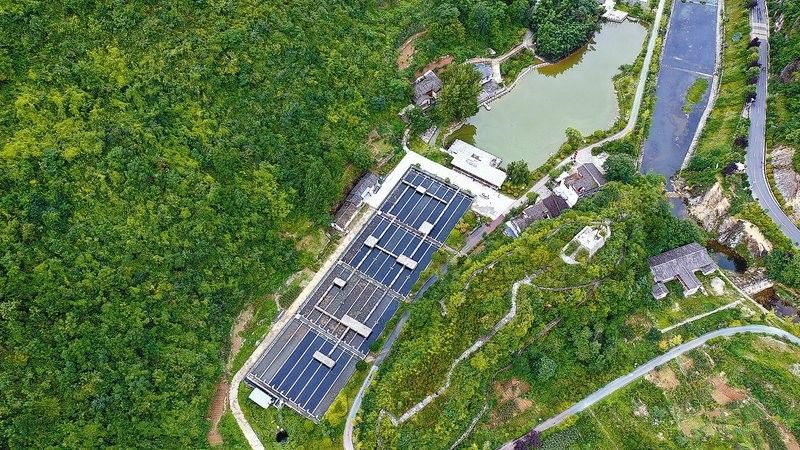 商洛哪個水族館龍魚好？祥龍魚場龍魚：商洛地區水族館中祥龍魚場是專業從事龍魚養殖的知名品牌