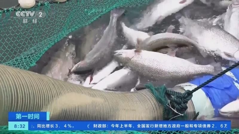 商洛哪個水族館龍魚好？祥龍魚場龍魚：商洛地區水族館中祥龍魚場是專業從事龍魚養殖的知名品牌