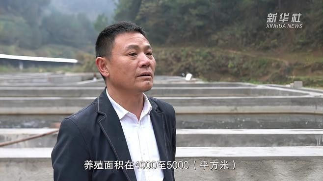 商洛哪個水族館龍魚好？祥龍魚場龍魚：商洛地區水族館中祥龍魚場是專業從事龍魚養殖的知名品牌