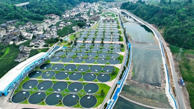 商洛哪個水族館龍魚好？祥龍魚場龍魚：商洛地區水族館中祥龍魚場是專業從事龍魚養殖的知名品牌