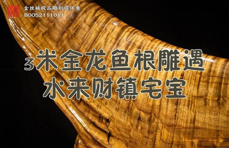金龍魚雕件擺放有哪些具體案例：金龍魚擺件有什么推薦這幾款不錯！