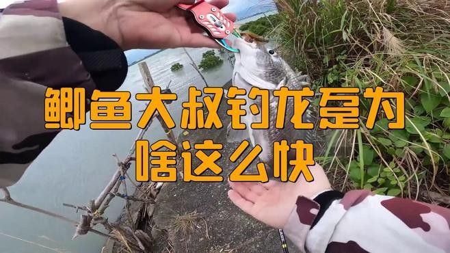 南屏山龍魚的最佳拋竿位置：根據(jù)龍躉魚（龍魚）的生活習(xí)性和垂釣技巧