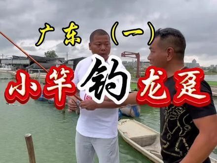 南屏山龍魚的最佳拋竿位置：根據(jù)龍躉魚（龍魚）的生活習(xí)性和垂釣技巧