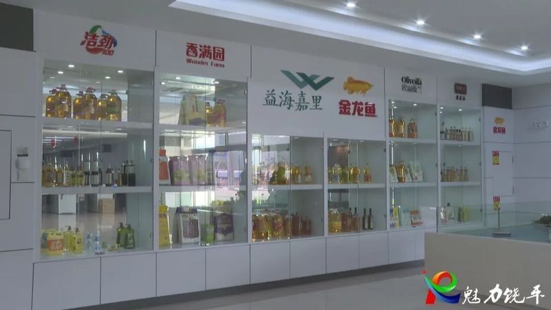 金龍魚品牌有哪些核心價值觀：金龍魚品牌是如何踐行這些價值觀的？