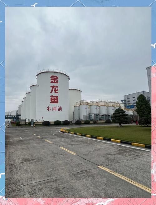 金龍魚品牌有哪些核心價值觀：金龍魚品牌是如何踐行這些價值觀的？