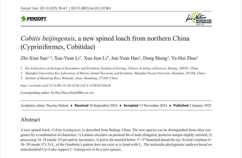 雷龍魚在本地自然水域有分布嗎？：雷龍魚在北京的自然種群數量如何？