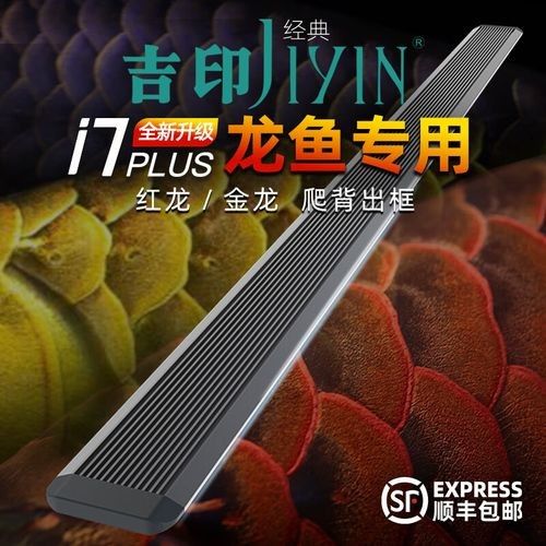 給我推薦幾款適合過背金龍魚的LED燈：——龍魚燈光使用建議