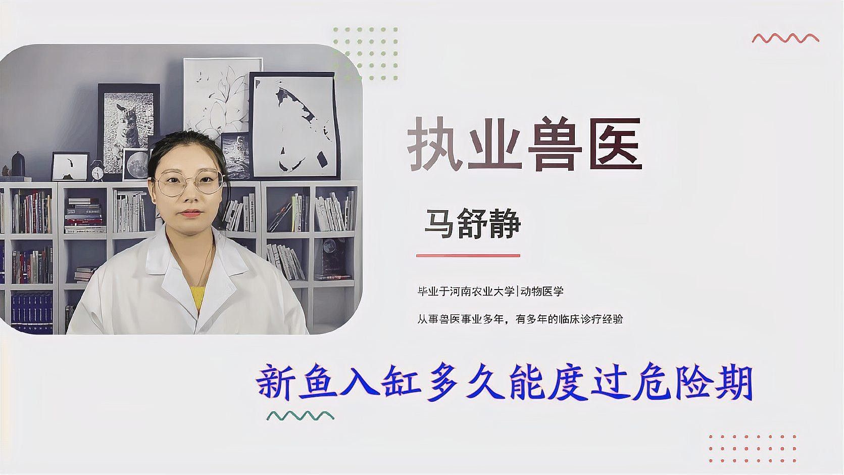 新魚入缸后多久會適應？：新魚入缸后多久能度過危險期寵物小哈哈