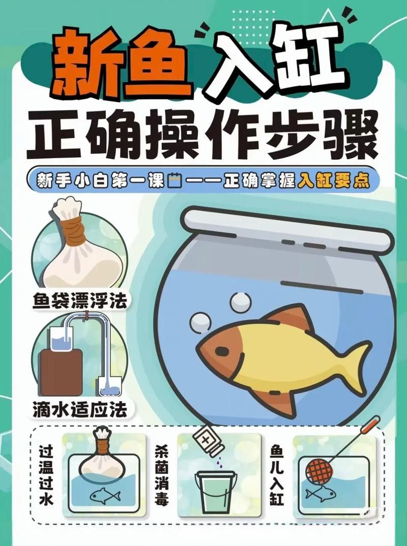 新魚入缸后多久會適應？：新魚入缸后多久能度過危險期寵物小哈哈