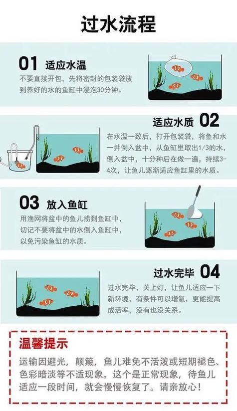 新魚入缸后多久會適應？：新魚入缸后多久能度過危險期寵物小哈哈