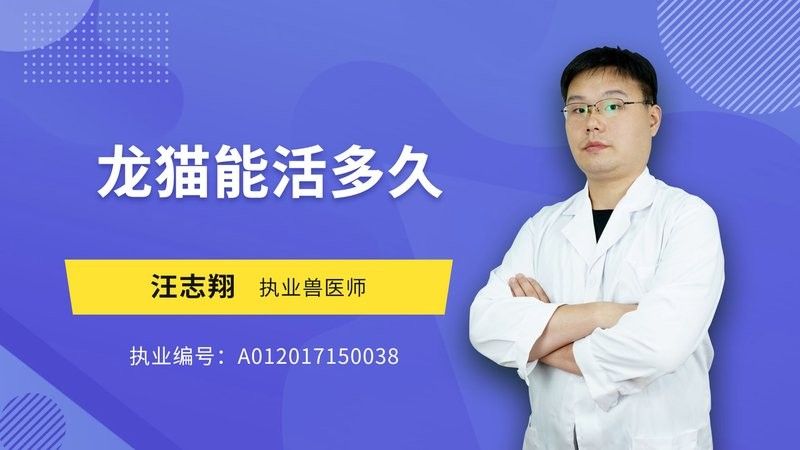 龍貓的壽命有多長？：蘑菇寵醫,龍貓能活多久