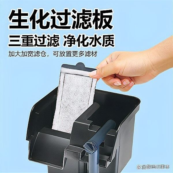 紅龍魚和七彩魚混養需要哪些過濾器：紅龍魚和七彩神仙魚混養時需要多久換一次水