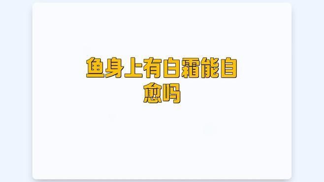金龍魚鱗片發白會自愈嗎：養龍必看養魚小藝，魚的魚鱗掉了還能長出來嗎