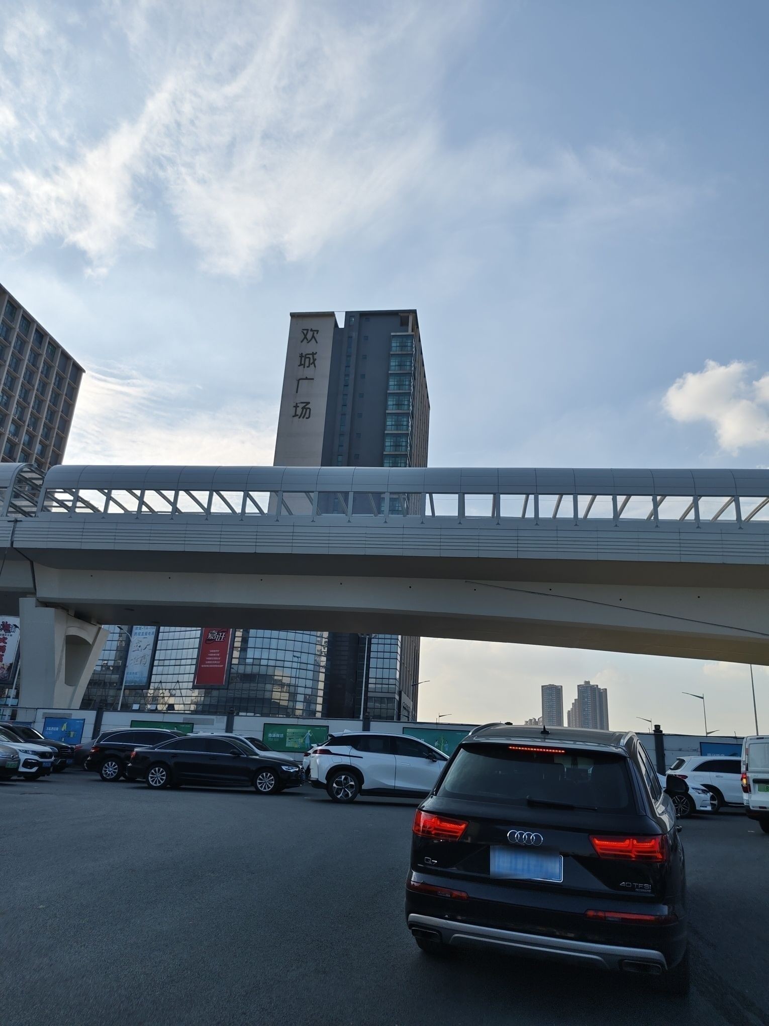 深圳龍魚批發市場的營業時間：深圳龍崗區與魚類批發市場信息搜索結果：蛇口漁街海鮮批發市場